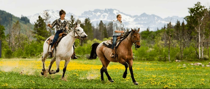 Confident plus-size woman riding Bristol a horse through a field with a smile on her face.